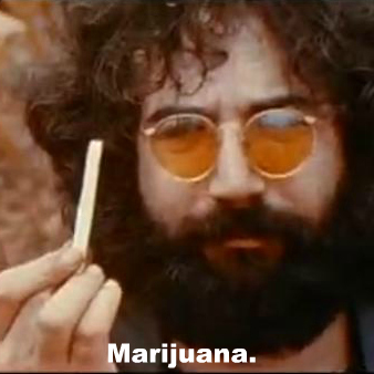 cannabis advocate 🌱 free the herb, free the spirit