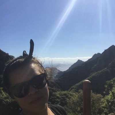 DinaDocarmo's profile picture. 