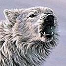 Wolf_of_Indigo Profile Picture