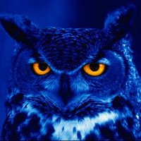 🦉 OWL GANG 🦉(@6v6_Sound) 's Twitter Profile Photo