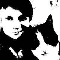 Stefan - Life Expectancy (@aspergermemos) 's Twitter Profile
