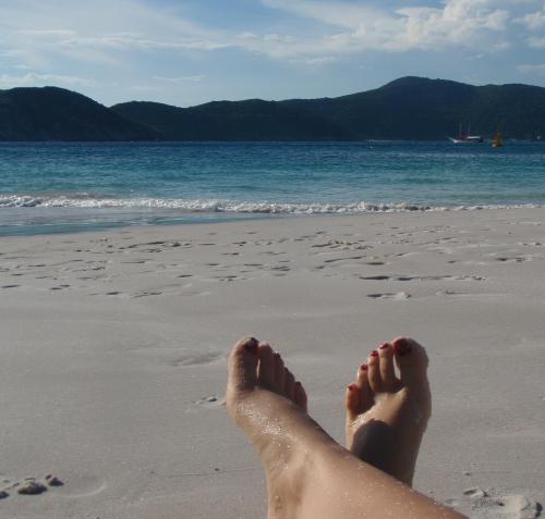 MahBalestreri's profile picture. metamorfose