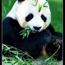 Sarah Ratcliffe - @celebrityrat - Twitter