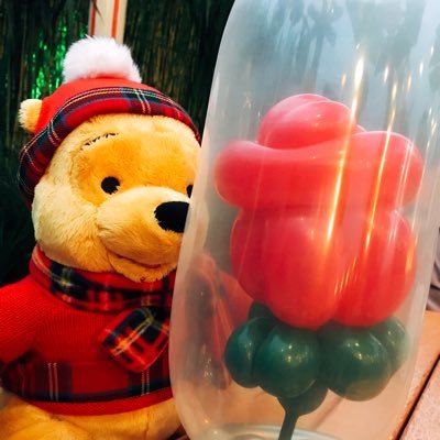 Disney🏰野球⚾️Pooh🐻Olu🐢Nick🦊Mike🟢Pixar&3Danimation💚 Slytherin 🐍阪神タイガース🐯中国小吃🇨🇳= LOVE（いおみり）・ 藍井エイル・綾野ましろ♡日本語・中文・English🙆‍♀️ HKDLプラチナ🇭🇰SHDLダイヤモンド🇨🇳