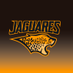 Jaguares (@JaguaresARG) Twitter profile photo