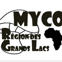 Myco-RGL (@mycorgl) 's Twitter Profile
