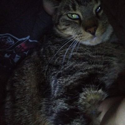 hi i Im: noodlLs amd i Love SNoluggle . Im soper Lovr, i palaywith Srnig. am Shie sime Tiemss.
i aet Crumchy foud.s
