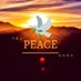 The Peace Gong (@ThePeaceGong) Twitter profile photo