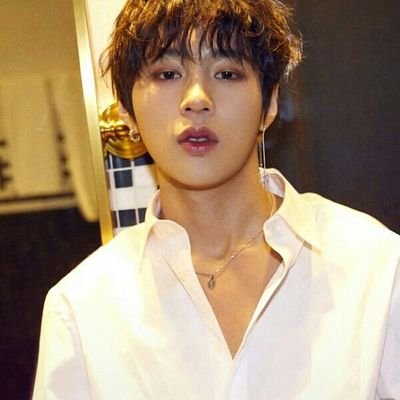 fallforsungwoon Profile Picture