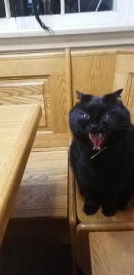 iMamn betee re then my boRthe.r @noodleboodles. i likk cKhikn,