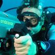 Dive Around find information and fish Identification for marine life around Australia Photos & Video