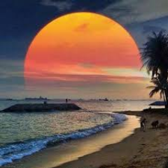 kalpana12502375's profile picture.