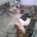 conrad sanchez - @killlercj - Twitter