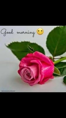 13shripal6's profile picture. all types of move videos news social activities