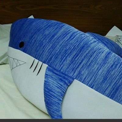 not_takesi's profile picture. あざぶ BOILED 知能機械