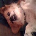 Stacy Kimbrough - @MomOMillie - Twitter