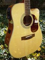 We are providing acoustic guitars online at very cheap rate.