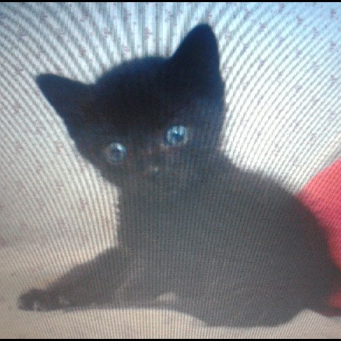 Theowyn35's profile picture. 