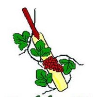 Buckden Cricket Club (@buckden_cc) 's Twitter Profile