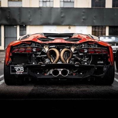 True fan of Lamborghini