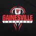 Gainesville High School Lacrosse (@big_lacrosse) Twitter profile photo