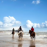 wangxue (@wangxue31733739) 's Twitter Profile