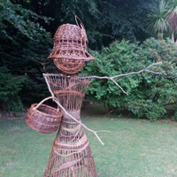 Wicklow Willow (@wicklowwillow) 's Twitter Profile