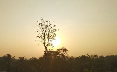 Swasthi04225718's profile picture. Jai jawan