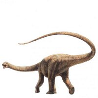 Age of Dinosaurs (@aaod_qld) 's Twitter Profile