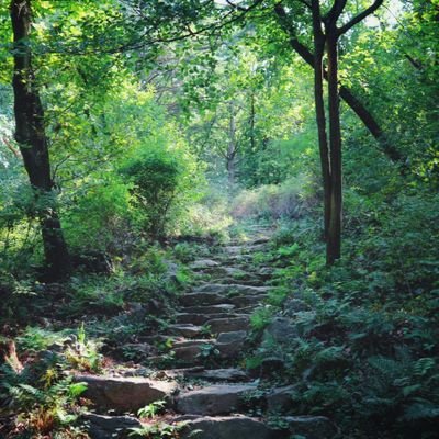 일상에서 식물 만나기🌳                                        
사진이용시 출처 남기세요!