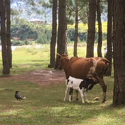 luk_olivia's profile picture. 咩都唔識 nice to meet you 😬