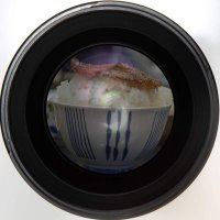 メッサーシュミット@ (@m_schmitt1) 's Twitter Profile