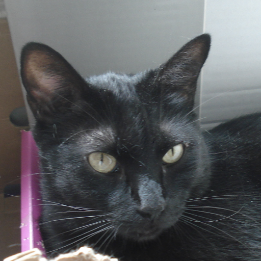 tobalinafer's profile picture. 