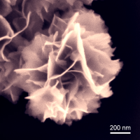 Mattevi Group: 2D materials, 3D printing (@mattevic) 's Twitter Profile Photo