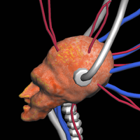 Mukagosoft Official (@mukagosoft) 's Twitter Profile Photo