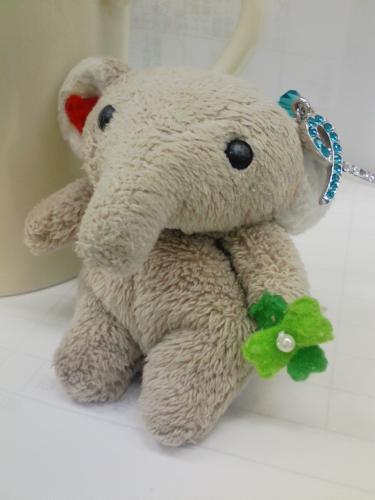 sakusakuamechan's profile picture. 北海道で生まれ、北海道で育ち、大自然をこよなく愛する女です。気がま付けば東京に来て３年が経ちましたが…未だ人混みが苦手です。
美容と健康についての話題が大好きなので、新しい情報があったら教えてくださいね。