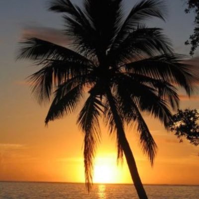 _RJJ180's profile picture. 