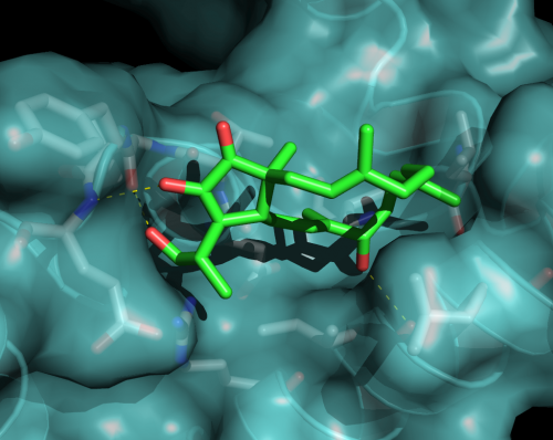ndkim's profile picture. Drug Design, Quantum Chemistry