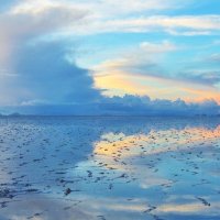 nikkie. (@_nikkiex) 's Twitter Profile