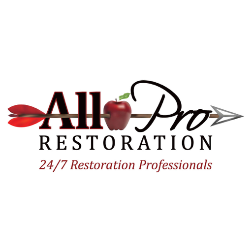 24/7 Restoration Professionals