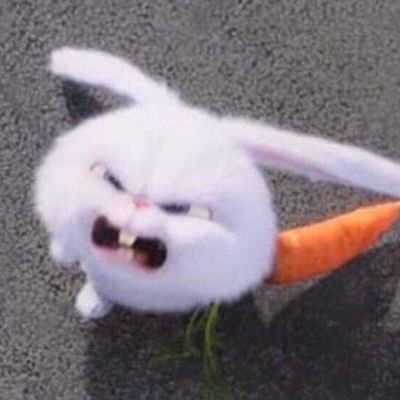 애옹이(계이)さんのプロフィール画像