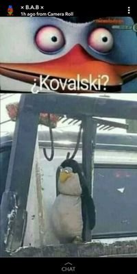 Mafiad761's profile picture. 