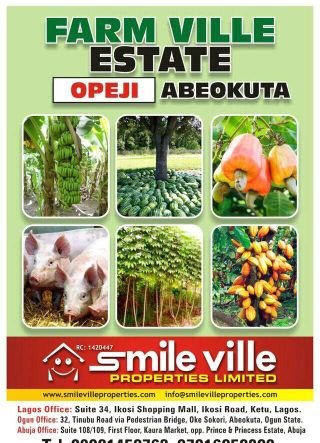 deputy marketer in smile ville properties limited .

A real Estate company 


go to university of ILORIN