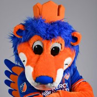Gary the Lion(@GaryFCCLion) 's Twitter Profile Photo