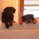 geoff parker - @geoffparker4 - Twitter