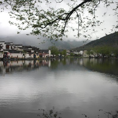 90fuqijiaoyiu's profile picture. 宣城单男，寻情侣夫妻，器大活好素质高。喜舔