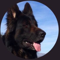 Maruto85 (@maruto85s) 's Twitter Profile Photo Maruto85 (@maruto85s) 's Twitter Profile Photo