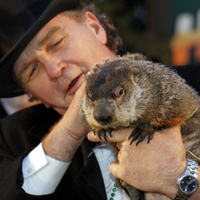 День Сурка (@groundhog_day7) 's Twitter Profile