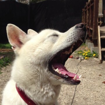 nobu83144511's profile picture. 