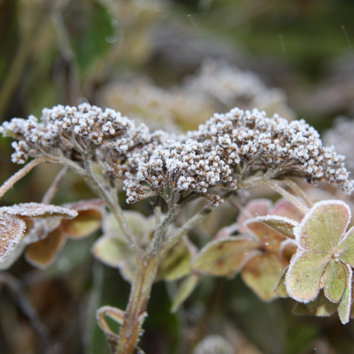 WarwickDean2's profile picture. 